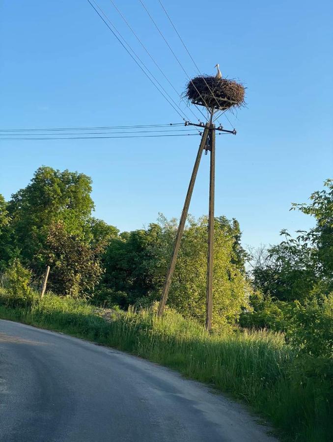Gospoda Pazibroda Maków Mazowiecki Esterno foto